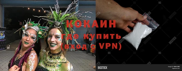 прущий лед Алзамай