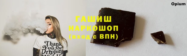 прущий лед Алзамай