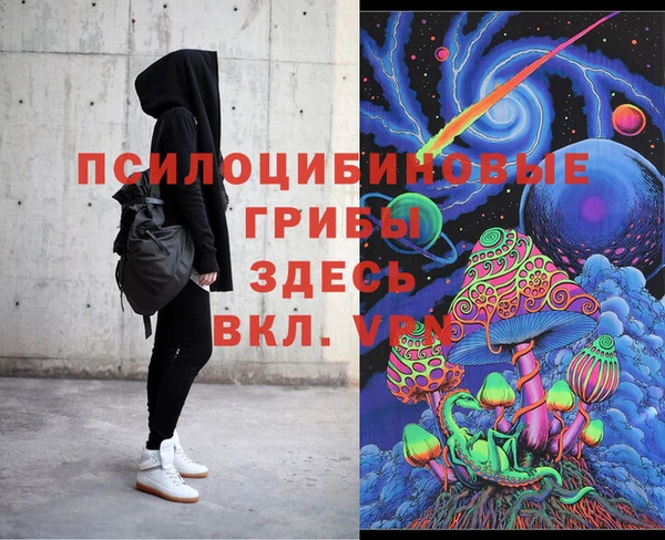 apvp Алексеевка