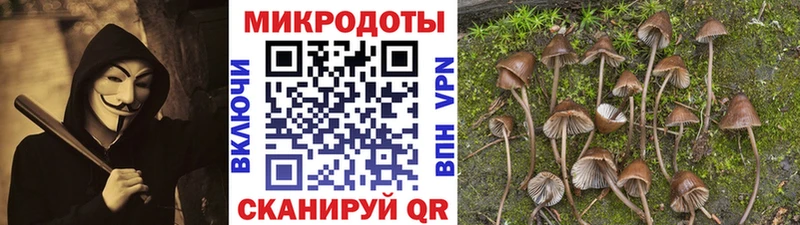 Псилоцибиновые грибы ЛСД  Старый Оскол 
