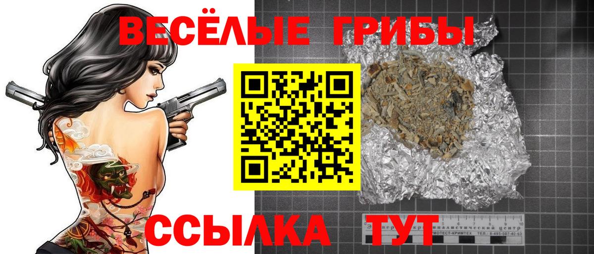 Псилоцибиновые грибы мицелий Старый Оскол